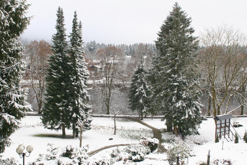 Dein Hotel - Goslar Hahnenklee Buitenkant foto